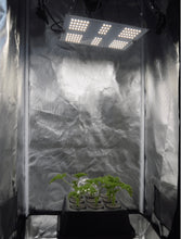 Load image into Gallery viewer, HLG 65 V2 65W Lamp for Veg