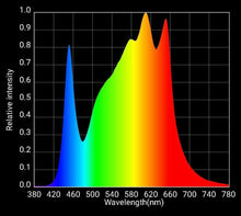Load image into Gallery viewer, HLG SCORPION RSPEC
