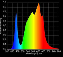 Load image into Gallery viewer, HLG 225 315 CMH Equivalent