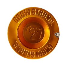 Load image into Gallery viewer, Gorilla Grow Tent Tactical Carbon Filter 4"x12"