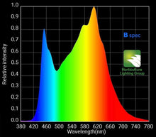 Load image into Gallery viewer, HLG 600 BSPEC®
