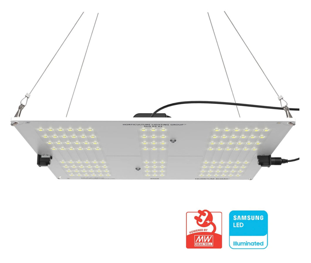 HLG 65 V2 65W Lamp for Veg