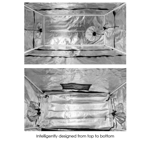 2x2 gorilla grow tent SHORTY Indoor 2x2.5 – NewView Grow Supply Nackenschmerzen (Rennrad Anfänger) The 1680D Diamond Reflective PS Vita Color:Green/Violet/Green